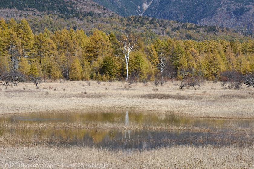 奥日光 小田代原 3 草紅葉と小田代湖_e0362037_20023492.jpg