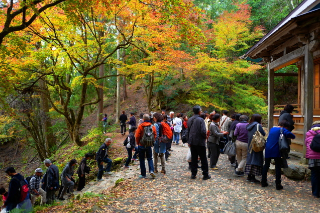 鶏足寺に行ってきた_f0287038_19150272.jpg