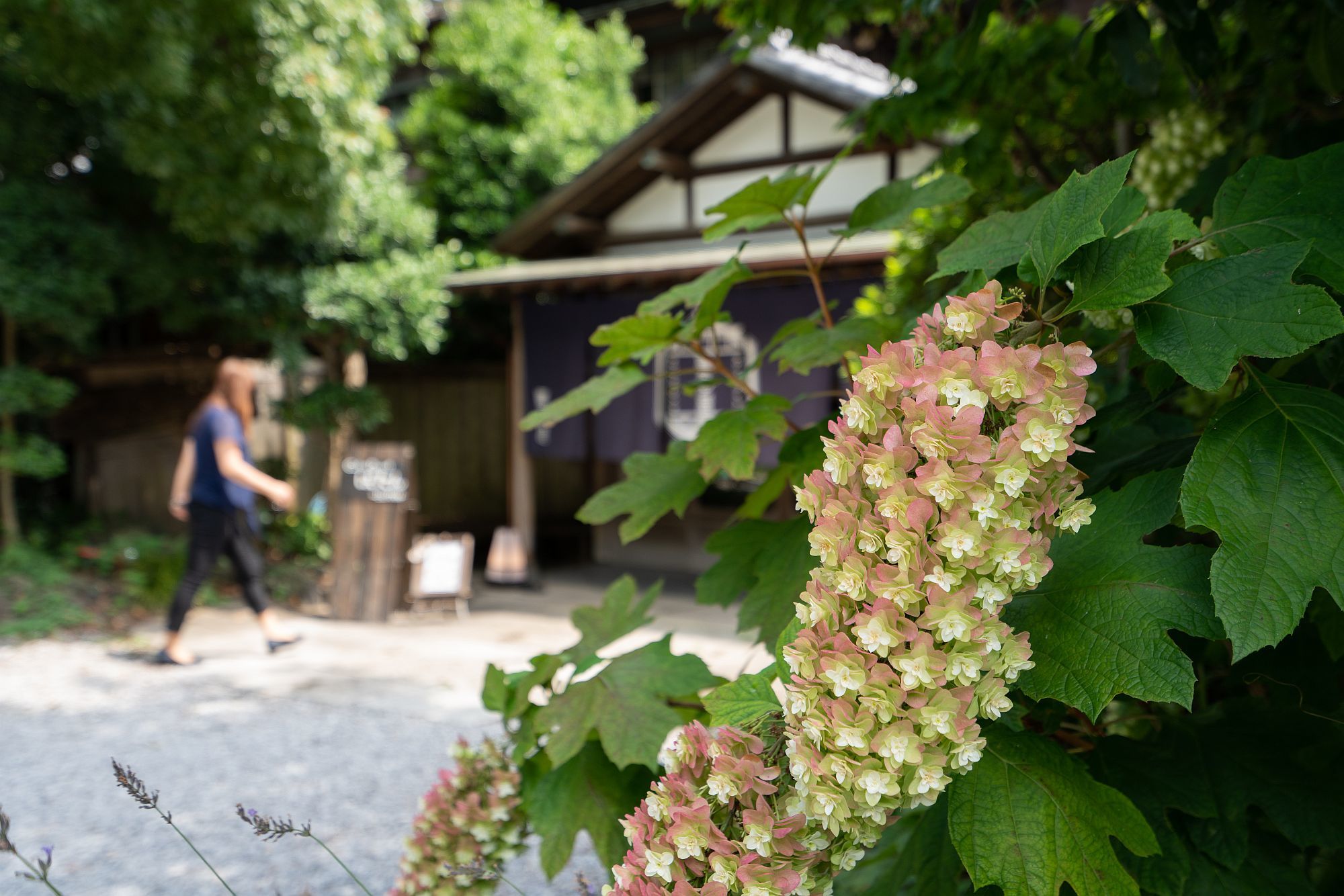 【登録有形文化財|金澤園】(旅館喜多屋) 行き方、見学のしかた 横浜市_b0212342_11173116.jpg