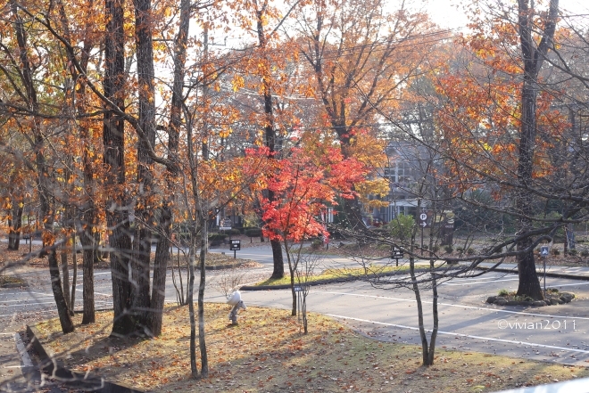 e0227942_23403769.jpg