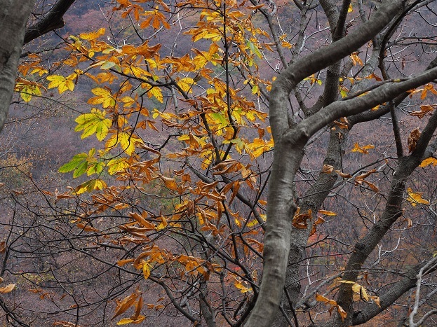 e0272042_18142161.jpg