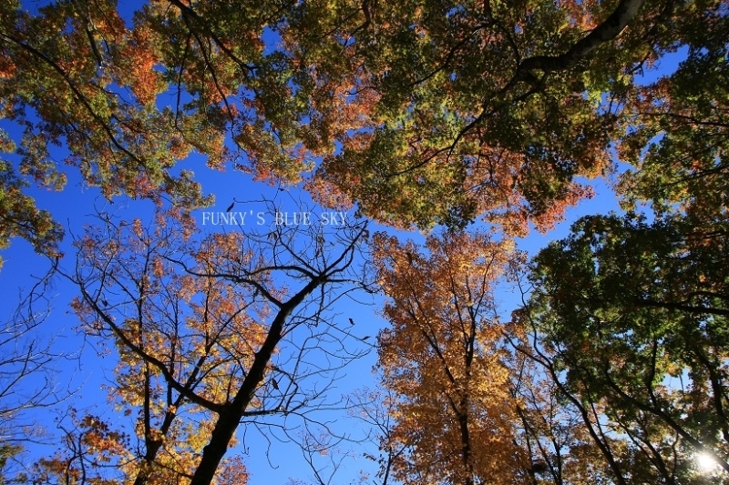 秋晴れの日、山の麓の湖に･･_c0145250_10131145.jpg