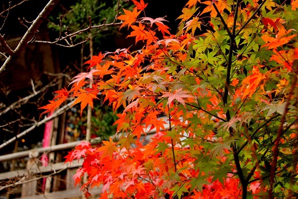 b0328557_20442178.jpg
