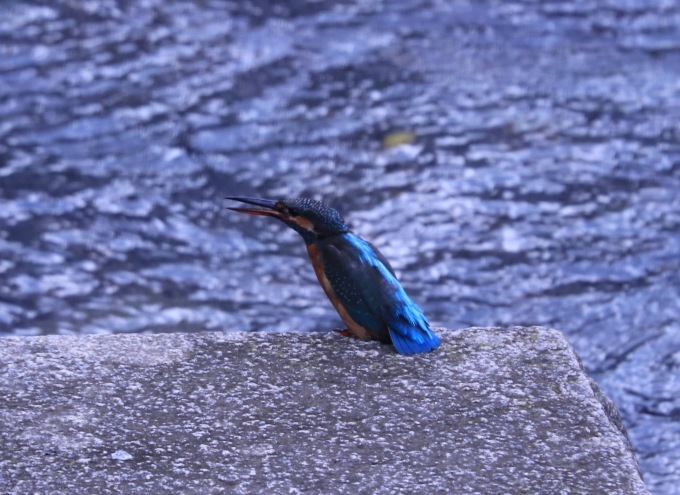 a0248459_19080909.jpg