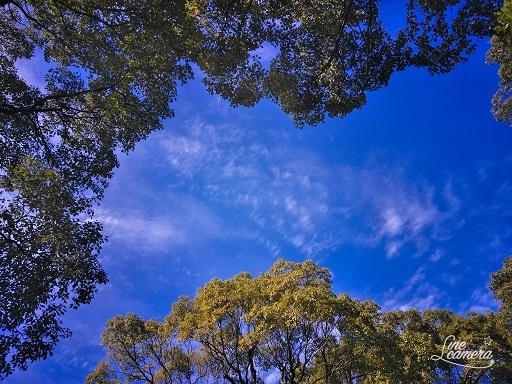 c0112264_16214381.jpg