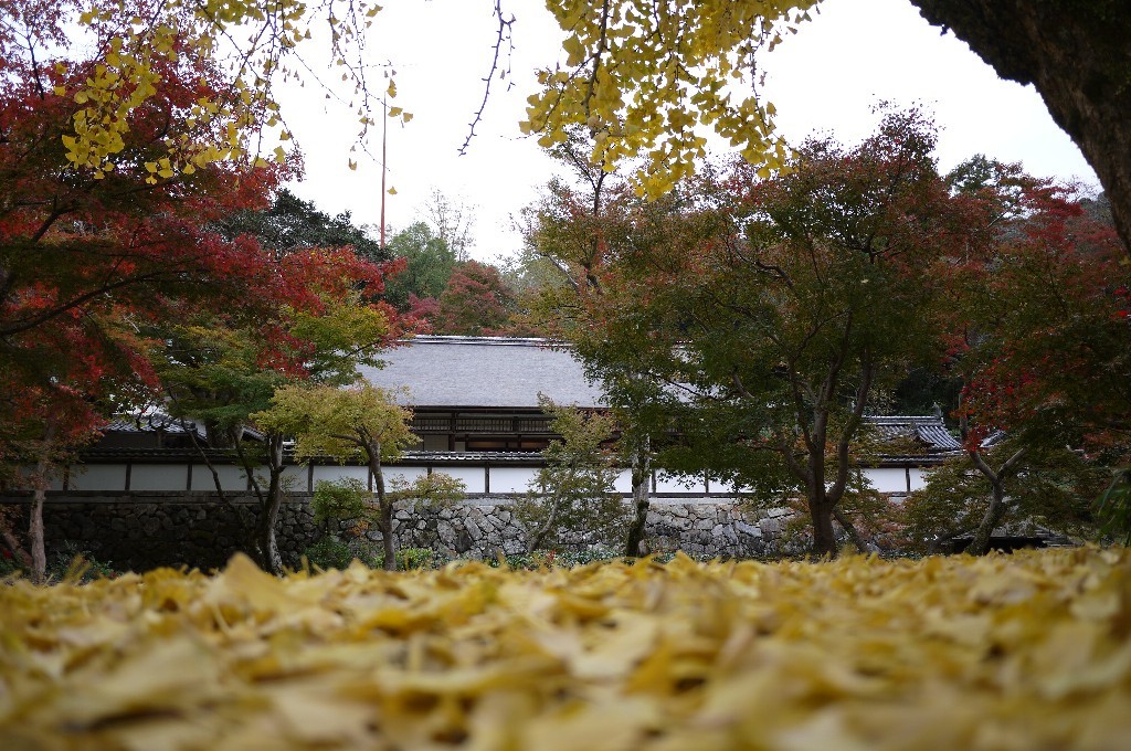 c0220065_01015419.jpg