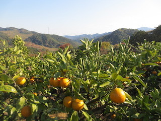 d0389166_22212253.jpg