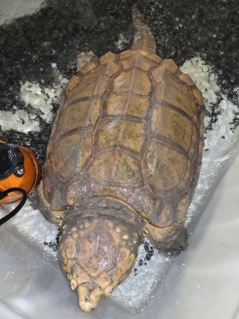 c0105569_00525223.jpg