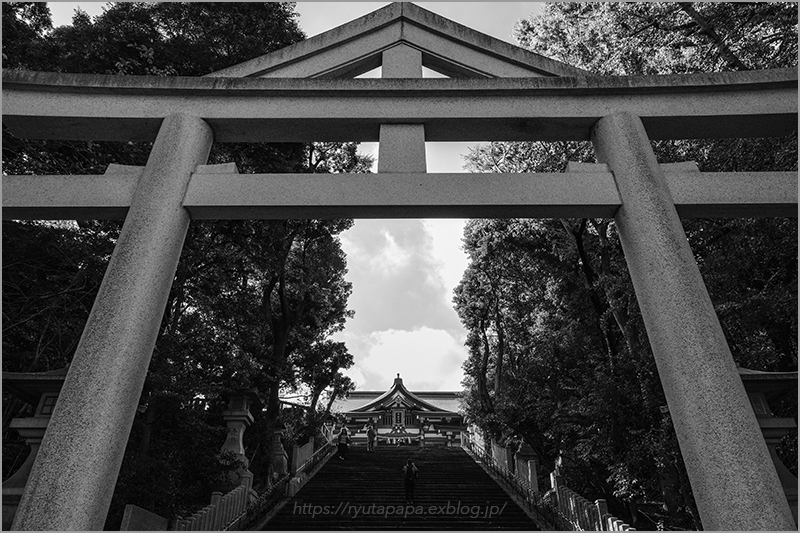 赤坂山王日枝神社_a0280374_17511712.jpg