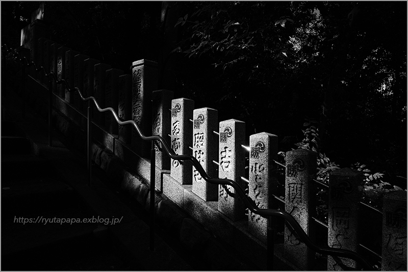 赤坂山王日枝神社_a0280374_17515748.jpg