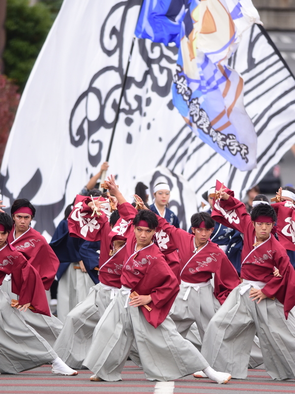 おやちゃい村収穫祭 2018　（３） 朝霞高校　若欅_b0104774_22072731.jpg