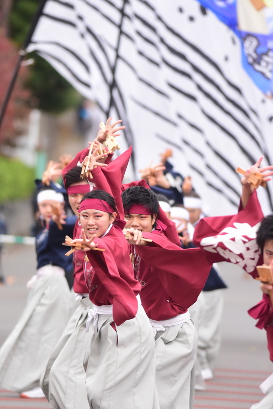 おやちゃい村収穫祭 2018　（３） 朝霞高校　若欅_b0104774_22100512.jpg