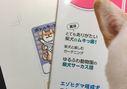 「柴犬さんのツボ」 新刊のお知らせ_b0011075_18093449.jpg