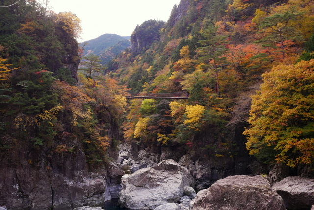 b0358575_00150383.jpg
