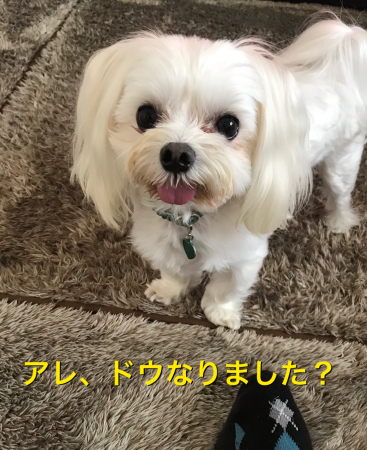 b0193480_13485032.jpeg