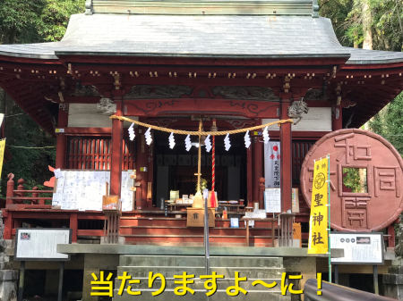 b0193480_13491188.jpeg