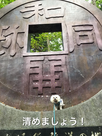 b0193480_13493255.jpeg