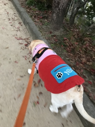 f0315081_21340966.jpeg