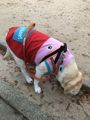 f0315081_21353946.jpeg