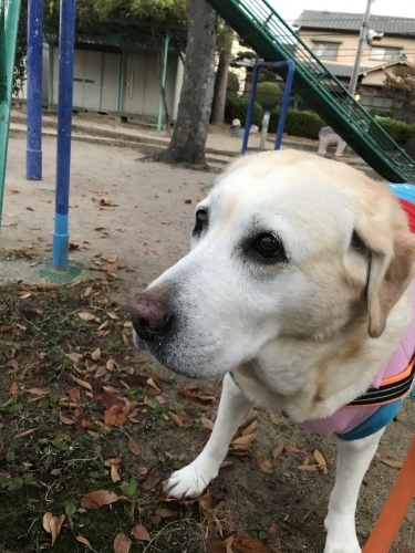 f0315081_21383073.jpeg
