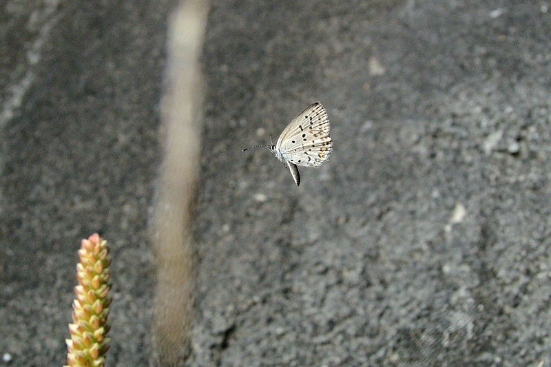 f0031682_16591163.jpg