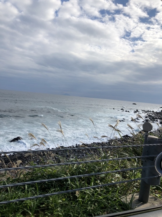 2018年11月14日  朝起きたら8時だった_b0098584_20185594.jpeg