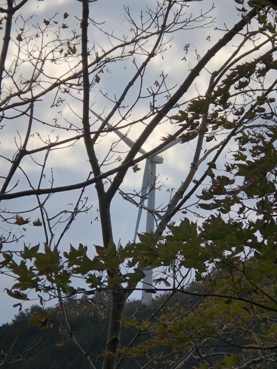 2018年11月14日  朝起きたら8時だった_b0098584_20193742.jpeg