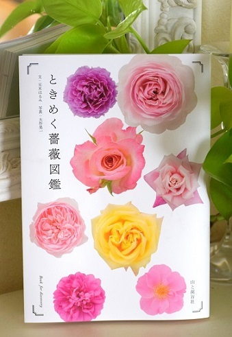 ときめく薔薇図鑑 山と渓谷社 台湾での発売が決まりました バラとハーブのある暮らし Salon De Roses