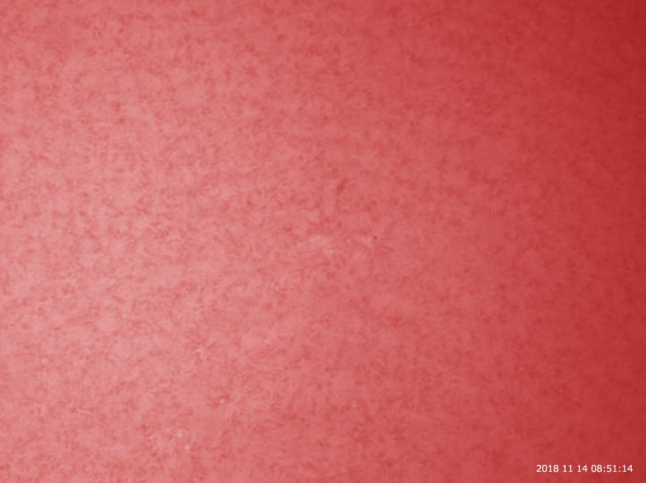 11月14日の太陽_e0174091_09313367.jpg