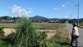 e0111299_15370791.jpg