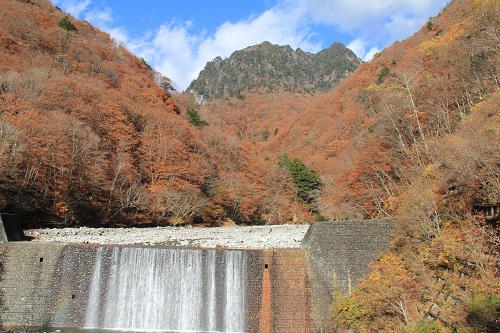 a0158702_14075260.jpg