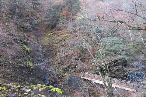 a0158702_14110603.jpg