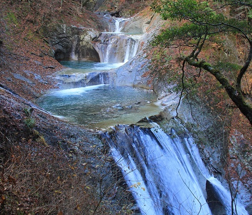 a0158702_14115482.jpg