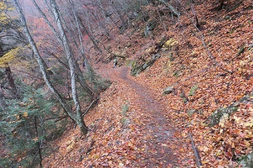 a0158702_14134007.jpg