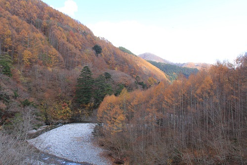 a0158702_14141481.jpg
