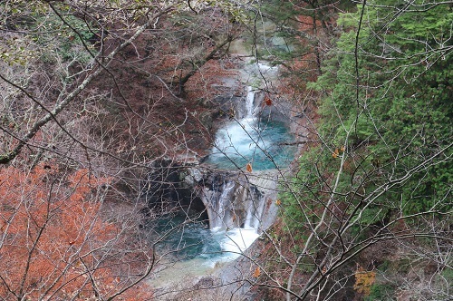 a0158702_14243619.jpg