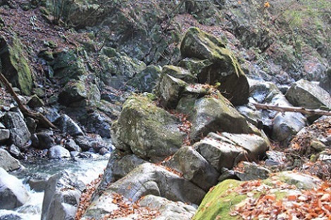 a0158702_14345496.jpg