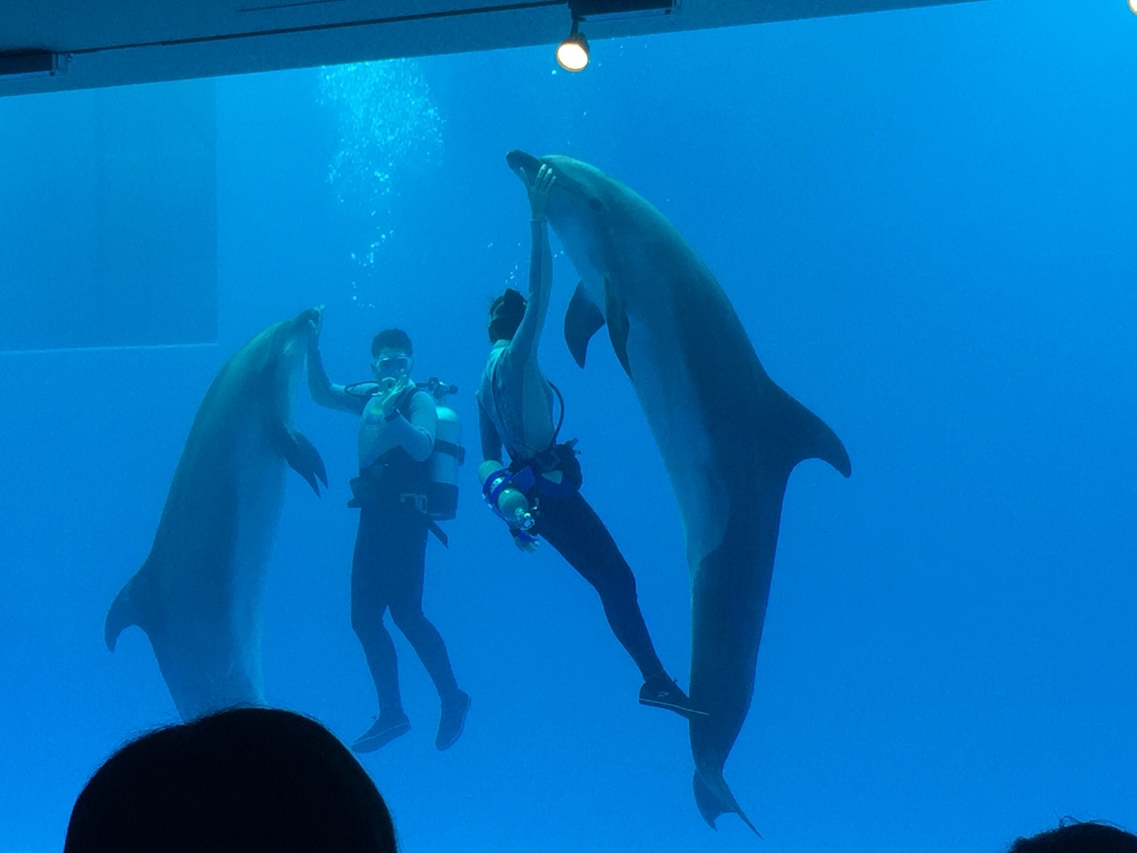 c0201302_17491741.jpg