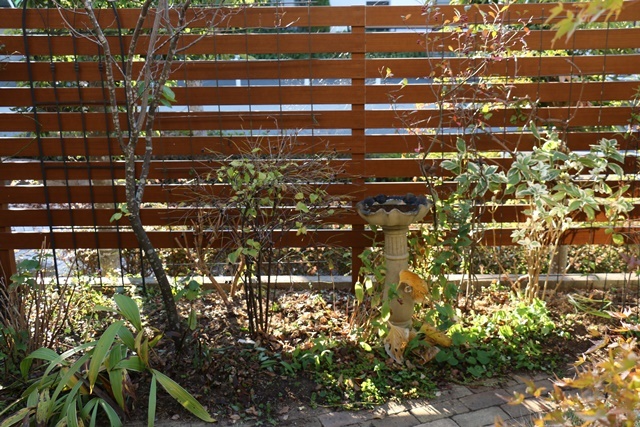 a0123003_08425740.jpg