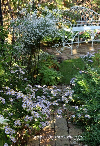 a0123003_08512627.jpg