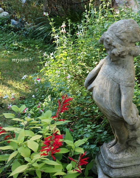 a0123003_12210559.jpg