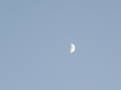 a0203003_20021530.jpg