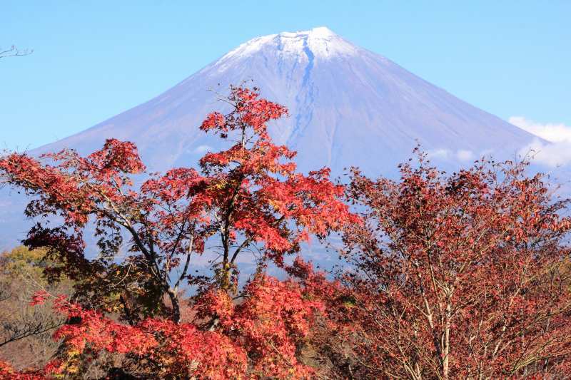 田貫湖の紅葉 富士山大好き 写真は最高