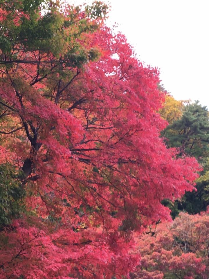 c0109109_01151669.jpeg