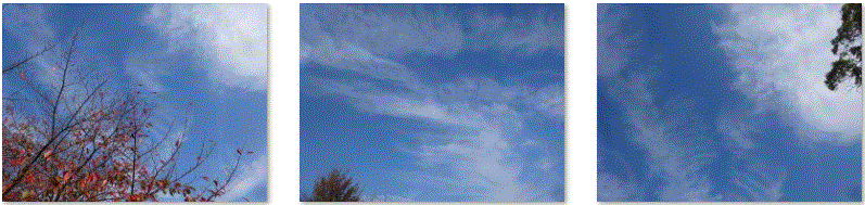 f0231709_05332417.gif