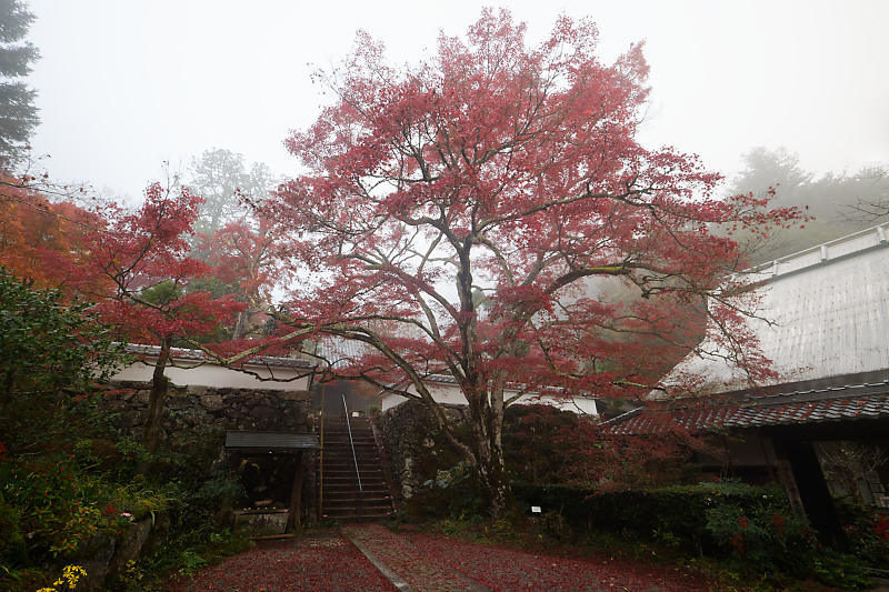 f0032011_19491346.jpg