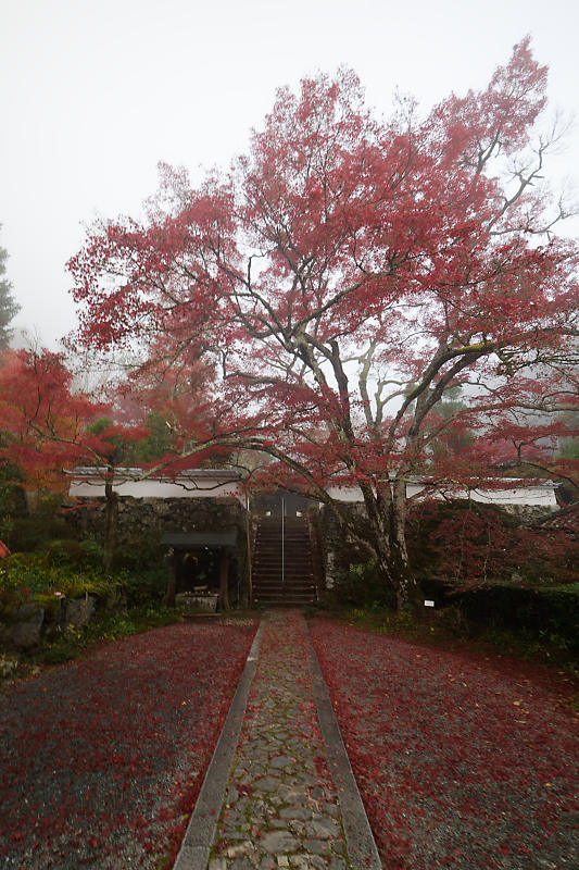 f0032011_19491414.jpg