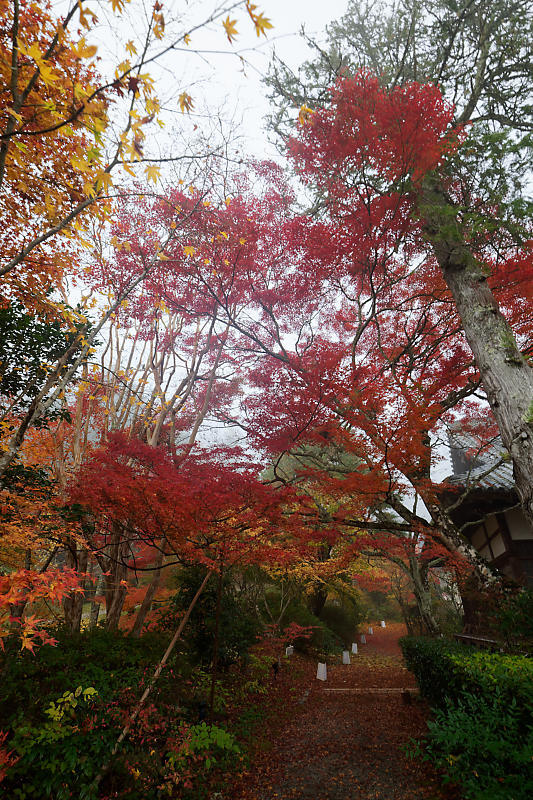 f0032011_19491420.jpg