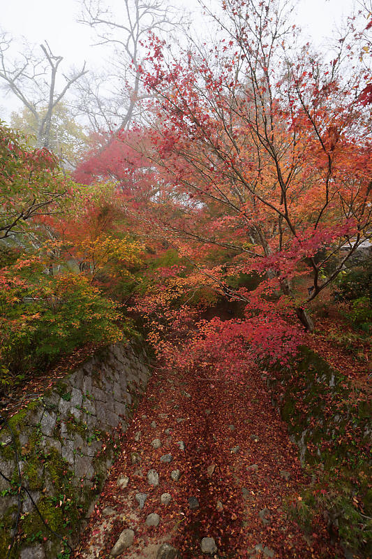 f0032011_20012102.jpg