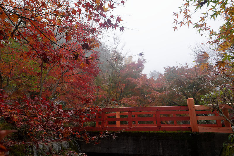 f0032011_20012186.jpg